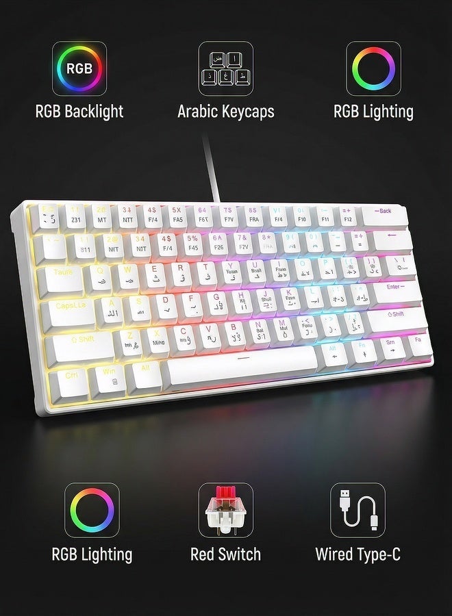 AOR Esports Keyboard, gaming keyboard, red axis, Arabic keycap, Arabic keyboard,  Type-C interface, 61 compact key design, white wired keyboard - Image 1
